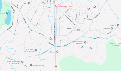 zrzut z ekranu Google Maps